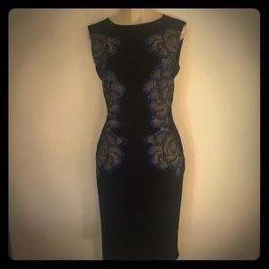 Tadashi Shoji dress